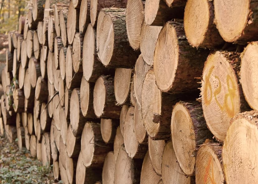 Commercial Woods